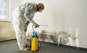 Best Residential Mold Inspection & Testing  in Hudson, IL